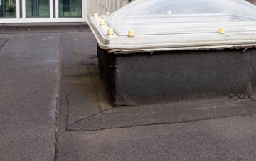 disadvantages of Cwmduad flat roofs