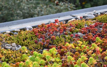 the cost of Cwmduad green roof installation