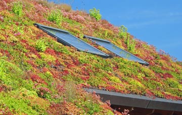 Cwmduad living roof systems
